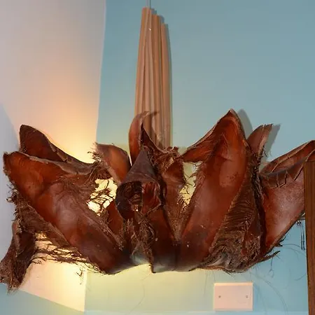 Syrakosia Сиракузы