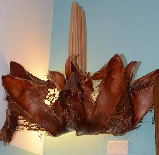 Syrakosia A Ortigia Syracuse